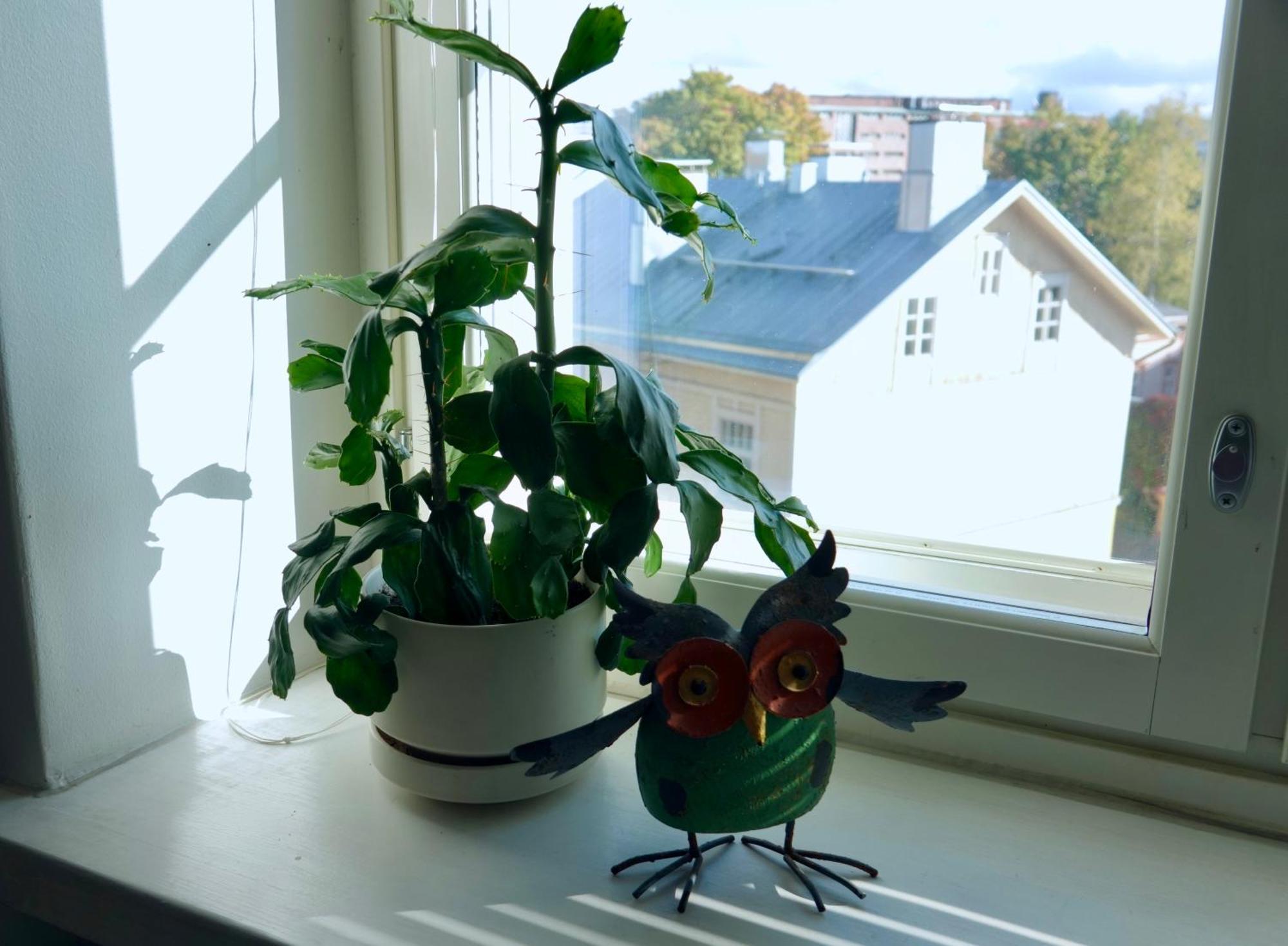 Charming City Studio Tammerfors Eksteriør bilde